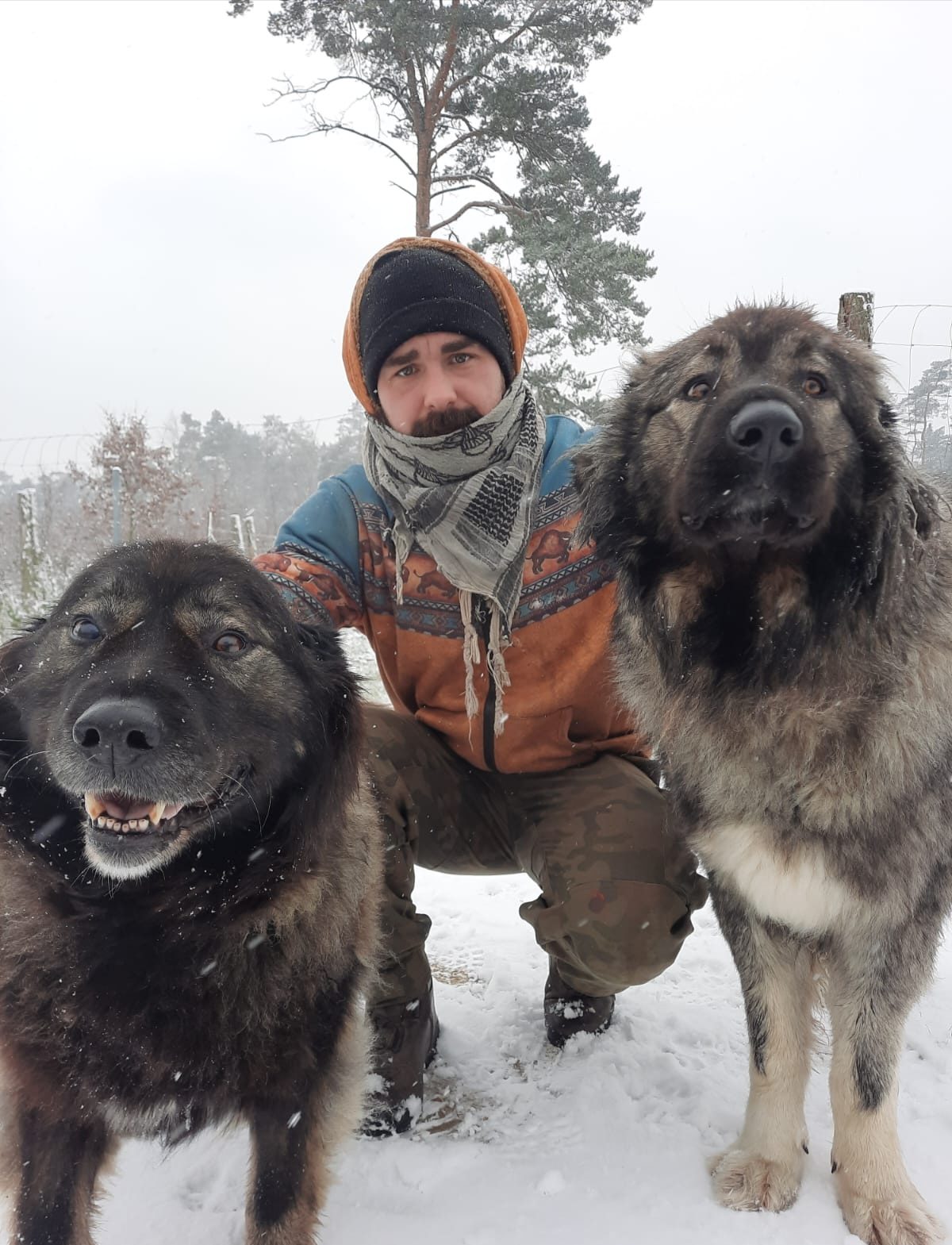 Marcin Pakuła z dwoma owczarkami kaukaskimi, zimą
